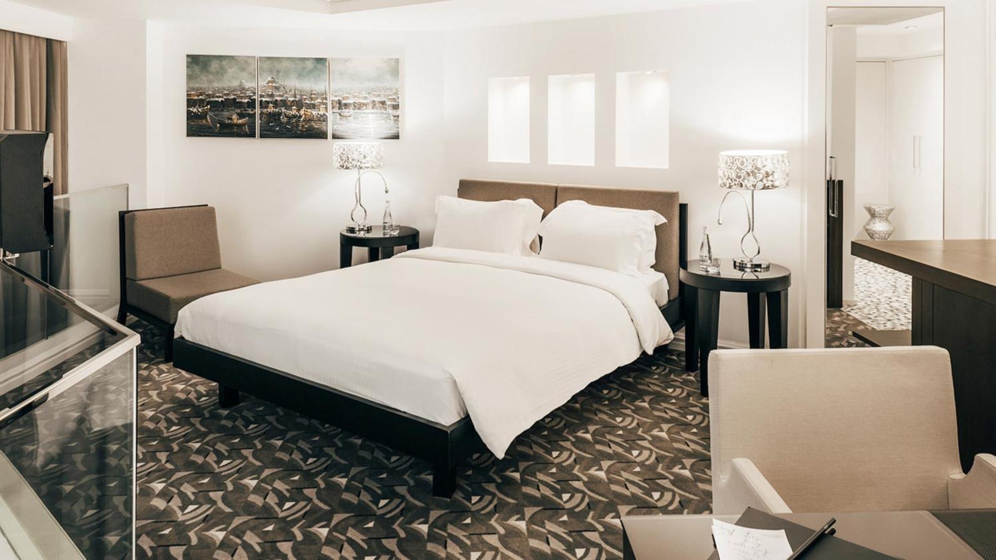 Hotel The Elysium Taksim Provincia di Provincia di Istanbul Esterno foto